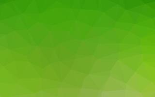 Light Green vector polygon abstract layout.