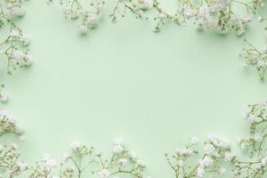 White gypsophila flowers or baby's breath flowers  on green  background. photo