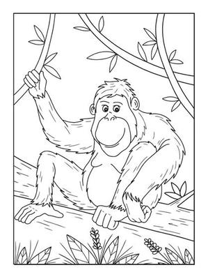 Gorilla Coloring Page Vector Art, Icons, and Graphics for Free Download