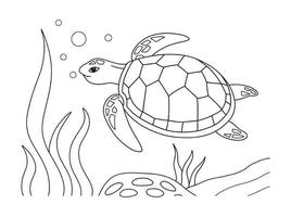 Cute turtle. Vector illustration. Outline drawing cartoon animal For kids  collection, design, decor, cards, print, coloring page. 17188852 Vector Art  at Vecteezy