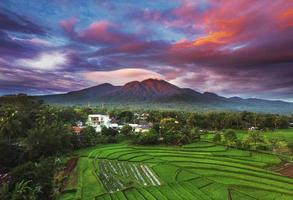 Beautiful morning view indonesia. Panorama Landscape paddy fields with beauty color and sky natural light