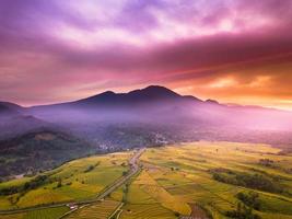 hermosa Mañana ver Indonesia. panorama paisaje arrozal campos con belleza color y cielo natural ligero foto