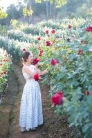 Young Asian woman wearing a white dress poses with a rose in rose garden photo