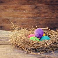 Easter eggs in nest. Toned image. photo