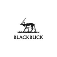 Blackbuck logo design. Antelop india silhoutte. Blackbuck logo design template. vector