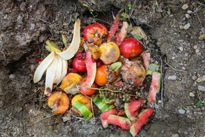 Domestic waste for compost from fruits and vegetables in garden. photo