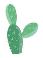 Cactus illustration in a flat style on a white background. Home plants cactus illustration. vector