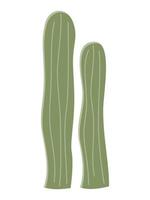 Cactus illustration in a flat style on a white background. Home plants cactus illustration. vector