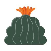 Cactus illustration in a flat style on a white background. Home plants cactus illustration. vector