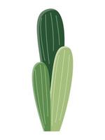 cactus ilustración en un plano estilo en un blanco antecedentes. hogar plantas cactus ilustración. vector