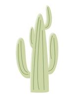 Cactus illustration in a flat style on a white background. Home plants cactus illustration. vector