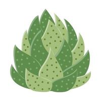 Cactus illustration in a flat style on a white background. Home plants cactus illustration. vector