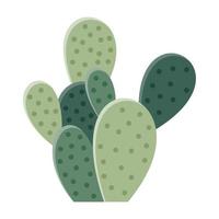 Cactus illustration in a flat style on a white background. Home plants cactus illustration. vector