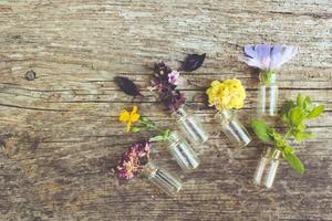 Healing herbs on wooden background. Top view. Toned image. photo