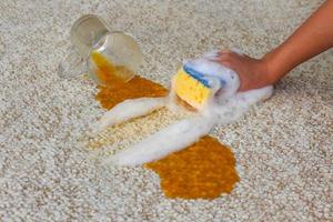vaso de jugo cayó y derramado en piso. hembra mano limpia el alfombra con un esponja y detergente. foto