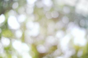 Abstract White Natural Bokeh Background. photo