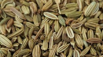 Dried fennel seeds pile close up video