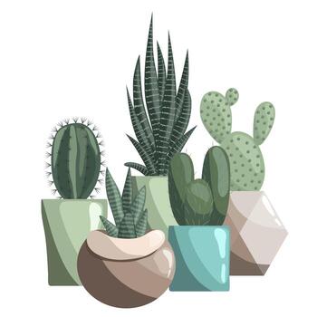 cinco diferente cactus en cerámico ollas. suculentas, espinoso pera, opuntia, haworthia o cebra cactus, sansevieria vector