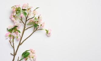 A branch with textile cherry blossoms on a white background, top view, home decor photo