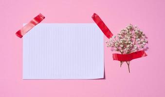 Empty white sheet of paper and gypsophilia flowers on a pink background, space for an inscription photo