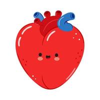 Cute funny heart organ character. Vector hand drawn cartoon kawaii character illustration icon. Isolated on white background. Heart organ character concept
