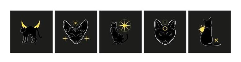 Black cats and celestial symbols. Set of magic mysterious cards, logos, prints. Flyer, banner design. Witch, esoteric, wizard. vector