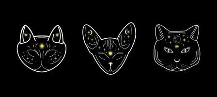 magia negro gato cabezas conjunto de místico ilustraciones con celestial elementos. estrellas, luna, sol, cristales pegatina, bandera, camiseta impresión diseño. Víspera de Todos los Santos. mago bruja gatos vector