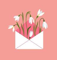 White snowdrops in envelope. Early spring flowers. Blooming snowdrops on isolated background. vector