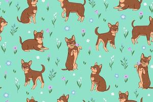 Seamless pattern with flowers and cute chihuahua dogs. Vector graphics.