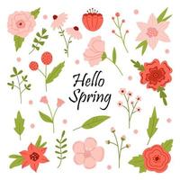 Vector set of flowers and leaves in red, pink and green colors. Botanical collection with text hello spring. Spring floral elements in flat design.