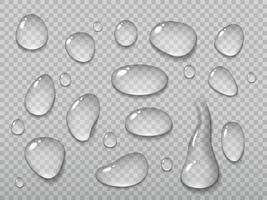 Realistic water drops on transparent background vector