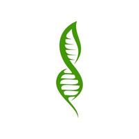 Leaf DNA icon of green plant in genetic helix vector