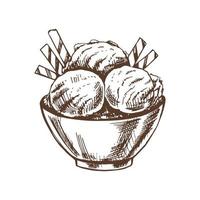 A hand-drawn sketch of an ice cream balls  in a bowl. Vintage illustration. Element for the design of labels, packaging and postcards. vector