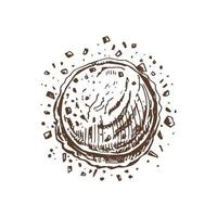 A hand-drawn sketch of ice cream scoop with flakes of dark chocolate. Vintage illustration. Element for the design of labels, packaging and postcards. vector