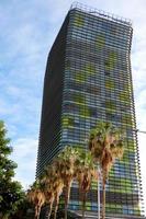 modern office building with coloured glass and palm trees photo