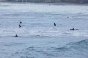 joven Atletas practicando el agua deporte de surf foto