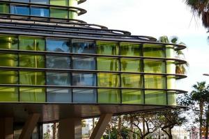 modern office building with coloured glass and palm trees photo