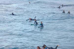 Surfers riding small ocean waves photo