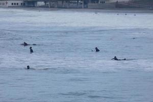 young athletes practising the water sport of surfing photo