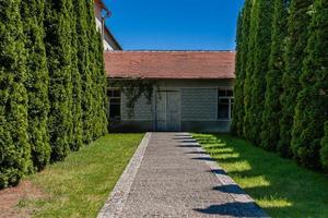 Alley of trees leading to the house with old doors photo