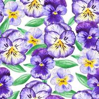 Watercolor violet pansy flowers seamless pattern botanical hand drawing background for gift paper, fabric, decorations vector