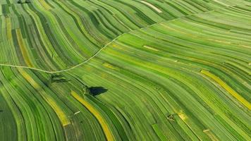 Aerial view of decorative ornaments of diverse green fields. Suloszowa, Poland video