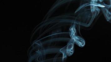 Abstract smoke rises up in beautiful swirls on a black background. Slow motion video