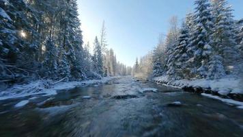 velozes voar ao longo uma montanha rio cercado de uma coberto de neve floresta. video