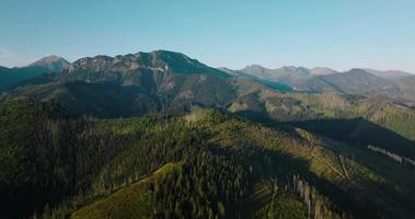 Beautiful mountain landscape in summer, forest and rocks. Zakopane video