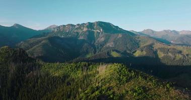Beautiful mountain landscape in summer, forest and rocks. Zakopane video