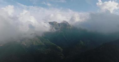 hermosa montaña paisaje en verano, bosque y rocas zakopane video