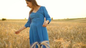 donna in piedi nel il mezzo di un' campo di maturo Grano. lento movimento video