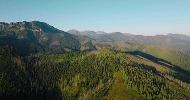 Beautiful mountain landscape in summer, forest and rocks. Zakopane video