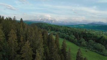 Antenne Aussicht von ein Sommer- Berg Landschaft mit felsig Spitzen. tatra Berge video